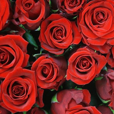 wedding proposal on a romantic private boat