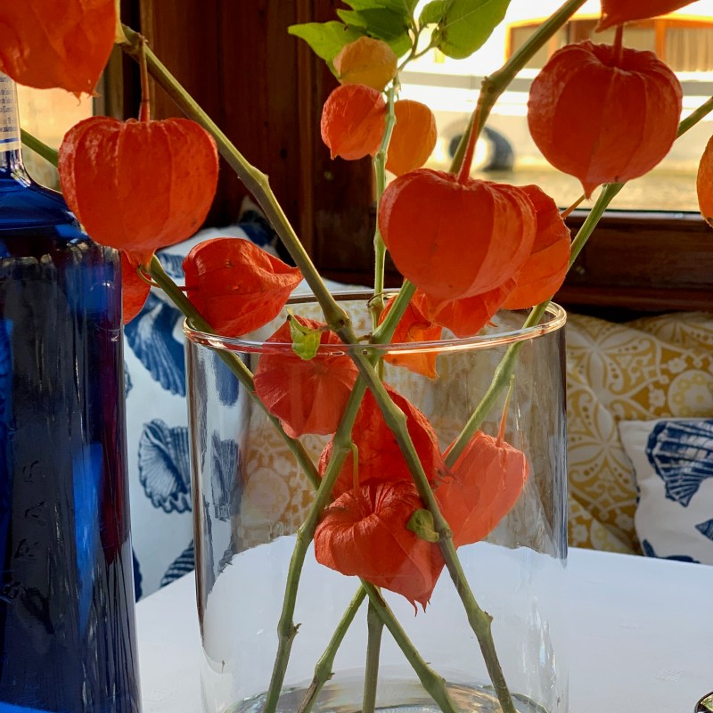 rent-a-boat-amsterdam-in-style