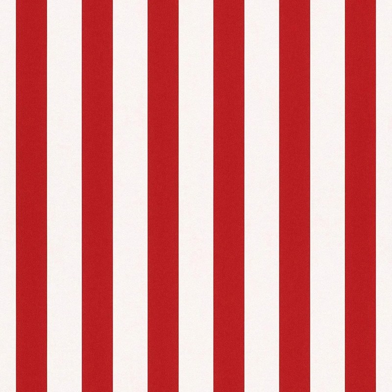 private boat Delphine